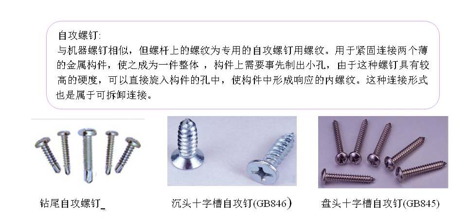 幻灯片29.JPG